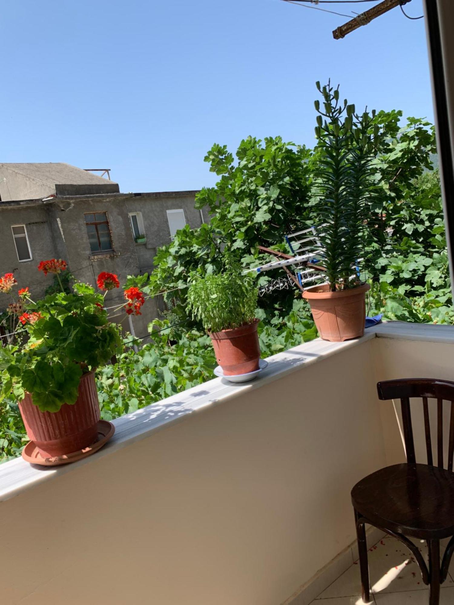 Guest House Dimos Kristi Përmet エクステリア 写真